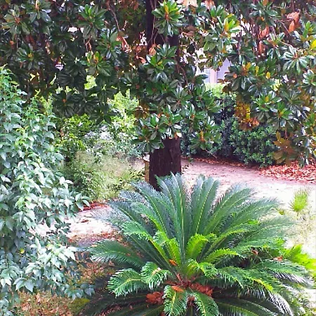 Un Giardino A Due Passi Dal Mare דירה