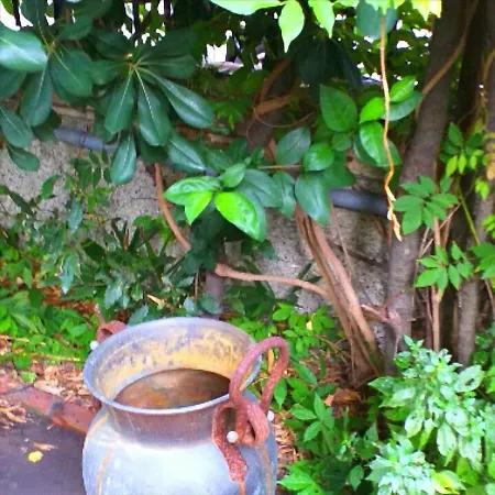 Un Giardino A Due Passi Dal Mare Apartment *