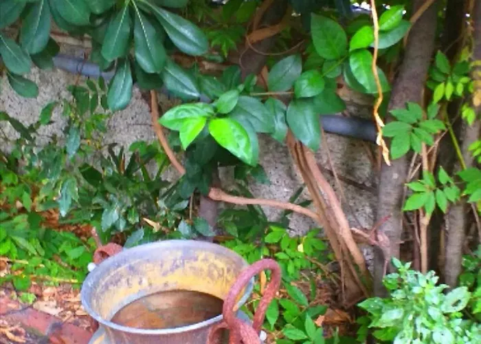 Un Giardino A Due Passi Dal Mare Lägenhet *
