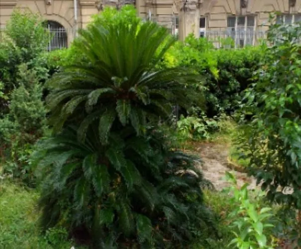 Un Giardino A Due Passi Dal Mare La Spezia